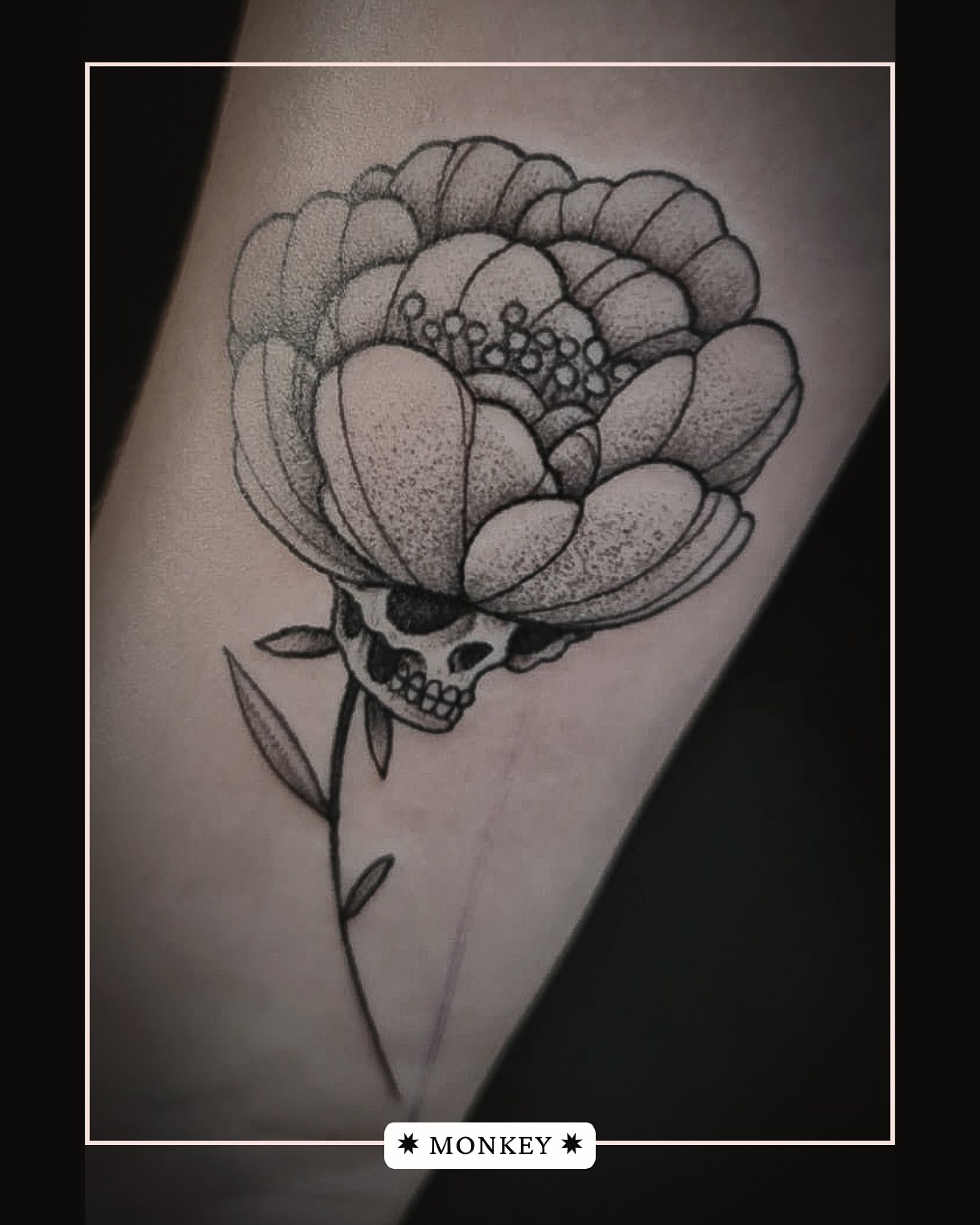 arcane.tts_1761637605_3753210722520960384_72810444920